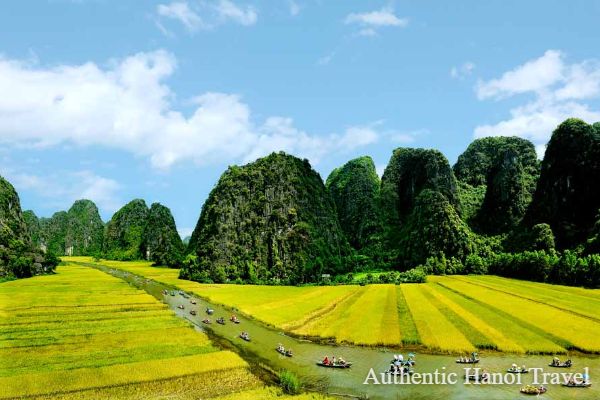 1 Day Luxury Tour to Ninh Binh: Hoa Lu and Tam Coc