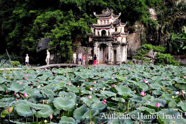 Ninh Binh Day Tour - Bich Dong – Local Family – Cycling – Trang An - Group 9 by Limousine