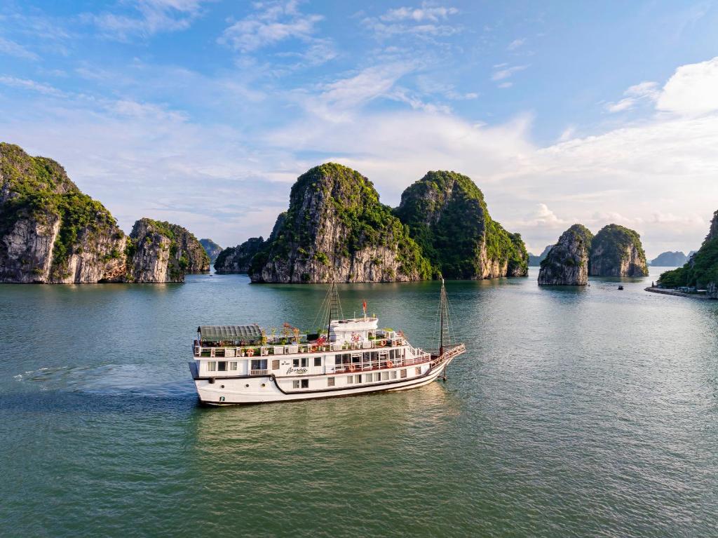Renea Boutique Cruise in Bai Tu Long Bay (2D1N or 3D2N )