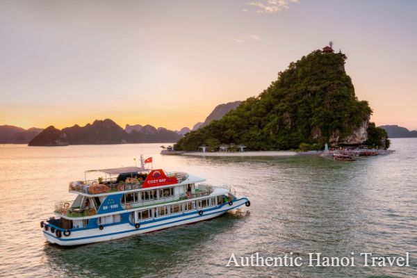 Cozy Luxury Halong Full-Day Trip with Buffet Lunch,Limousine Bus