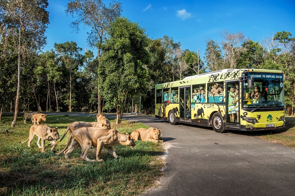 VinWonders Phu Quoc & Vinpearl Safari Tickets – Combo Theme Park & Safari Zoo