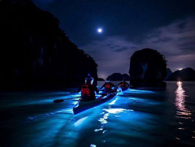 Sunset and Plankton Bioluminescent Night Kayak – Lan Ha Bay