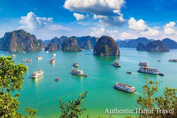 BEST SELLER Overnight Cruise in Halong & Lan Ha Bay ( 2D1N or 3D2N)